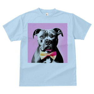 AJsbgueA TVc  j[NfUCfB[X t@  t vg lJWA 킢 lԗp Mtg I ҏ΍ lN^C AJsbg