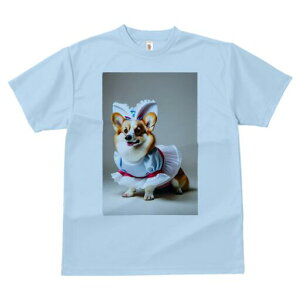 R[M[ TVc  j[NfUCfB[X t@  t vg lJWA 킢 lԗp Mtg I ҏ΍ RX`[ R[M[ oj[K[