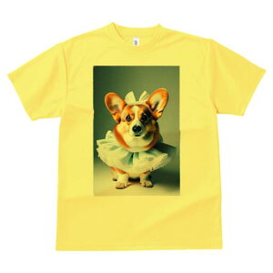 R[M[ TVc  j[NfUCfB[X t@  t vg lJWA 킢 lԗp Mtg I ҏ΍ { R[M[ t