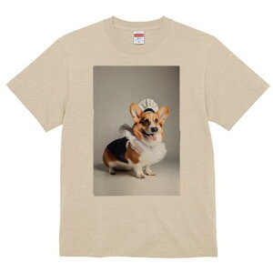 R[M[ TVc  j[NfUCfB[X t@  t vg lJWA 킢 lԗp Mtg I ҏ΍ Ch R[M[ RX`[