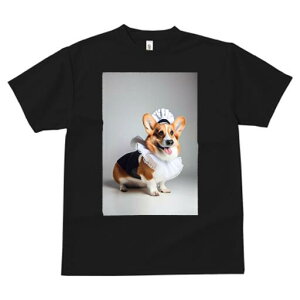 R[M[ TVc  j[NfUCfB[X t@  t vg lJWA 킢 lԗp Mtg I ҏ΍ Ch R[M[ RX`[