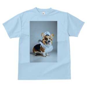 R[M[ TVc  j[NfUCfB[X t@  t vg lJWA 킢 lԗp Mtg I ҏ΍ Ch R[M[ RX`[