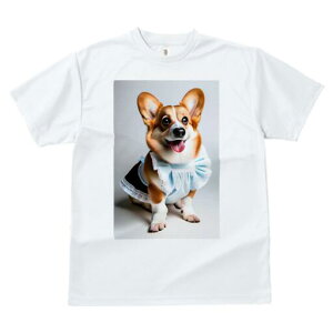 R[M[ TVc  j[NfUCfB[X t@  t vg lJWA 킢 lԗp Mtg I ҏ΍ hX R[M[