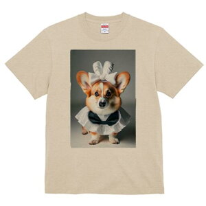 R[M[ TVc  j[NfUCfB[X t@  t vg lJWA 킢 lԗp Mtg I ҏ΍ { R[M[ Ch