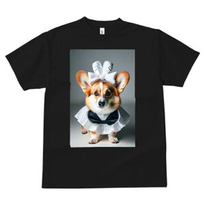 R[M[ TVc  j[NfUCfB[X t@  t vg lJWA 킢 lԗp Mtg I ҏ΍ { R[M[ Ch