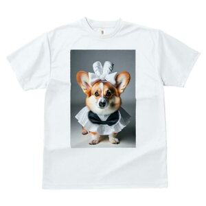 R[M[ TVc  j[NfUCfB[X t@  t vg lJWA 킢 lԗp Mtg I ҏ΍ { R[M[ Ch