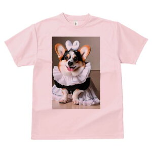 R[M[ TVc  j[NfUCfB[X t@  t vg lJWA 킢 lԗp Mtg I ҏ΍ Ch R[M[ {