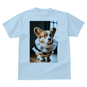 R[M[ TVc  j[NfUCfB[X t@  t vg lJWA 킢 lԗp Mtg I ҏ΍ t R[M[ ߑ