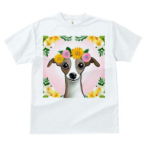 �C�^���A���O���[�n�E���h T�V���c ���� ���j�[�N�f�U�C�����f�B�[�X ���t�@�� ���� �t�� �v�����g ��l�J�W���A�� ���킢�� �l�ԗp �M�t�g ���I �ҏ��΍� �� �C�^���A���O���[�n�E���h 