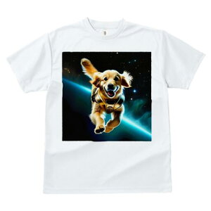 S[fgo[ TVc  j[NfUCfB[X t@  t vg lJWA 킢 lԗp Mtg I ҏ΍ F S[fgo[ Xy[