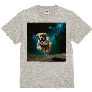 S[fgo[ TVc  j[NfUCfB[X t@  t vg lJWA 킢 lԗp Mtg I ҏ΍ F S[fgo[ F 