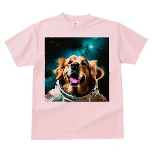 S[fgo[ TVc  j[NfUCfB[X t@  t vg lJWA 킢 lԗp Mtg I ҏ΍ F S[fgo[ F