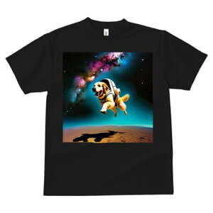 S[fgo[ TVc  j[NfUCfB[X t@  t vg lJWA 킢 lԗp Mtg I ҏ΍ F S[fgo[ F 