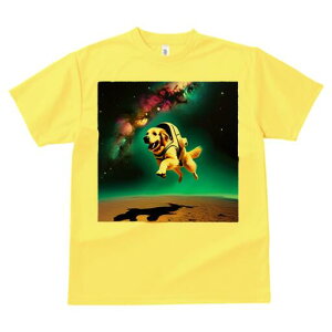 S[fgo[ TVc  j[NfUCfB[X t@  t vg lJWA 킢 lԗp Mtg I ҏ΍ F S[fgo[ F 