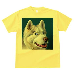 nXL[ TVc  j[NfUCfB[X t@  t vg lJWA 킢 lԗp Mtg I ҏ΍ nXL[