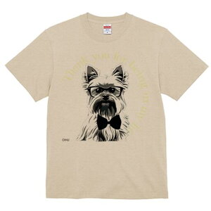 [NV[eA TVc  j[NfUCY LbY t@  t vg lJWA 킢 lԗp Mtg I ҏ΍ Kl [NV[eA lN