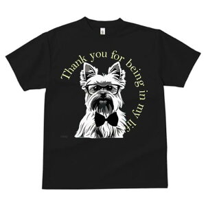 [NV[eA TVc  j[NfUCfB[X t@  t vg lJWA 킢 lԗp Mtg I ҏ΍ Kl [NV[eA lN^