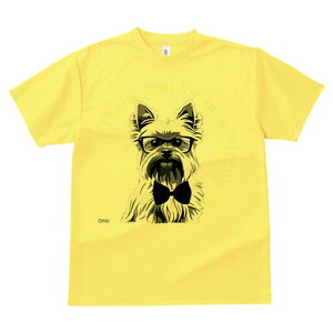 [NV[eA TVc  j[NfUCfB[X t@  t vg lJWA 킢 lԗp Mtg I ҏ΍ Kl [NV[eA lN^