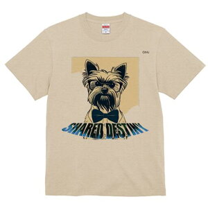 [NV[eA TVc  j[NfUCfB[X t@  t vg lJWA 킢 lԗp Mtg I ҏ΍ Kl [NV[eA lN^