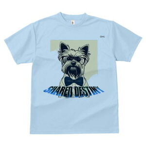 [NV[eA TVc  j[NfUCfB[X t@  t vg lJWA 킢 lԗp Mtg I ҏ΍ Kl [NV[eA lN^