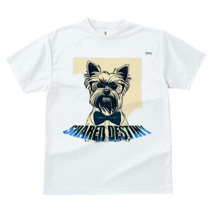 [NV[eA TVc  j[NfUCfB[X t@  t vg lJWA 킢 lԗp Mtg I ҏ΍ Kl [NV[eA lN^