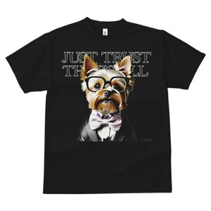 [NV[eA TVc  j[NfUCfB[X t@  t vg lJWA 킢 lԗp Mtg I ҏ΍ Kl [NV[eA lN^