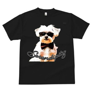 }`[Y TVc  j[NfUCfB[X t@  t vg lJWA 킢 lԗp Mtg I ҏ΍ TOX }`[Y lN^C