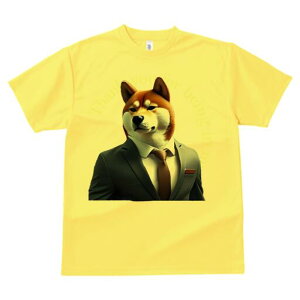 Č TVc  j[NfUCfB[X t@  t vg lJWA 킢 lԗp Mtg I ҏ΍ X[c Č