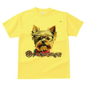 [NV[eA TVc  j[NfUCY LbY t@  t vg lJWA 킢 lԗp Mtg I ҏ΍ Kl [NV[eA lN