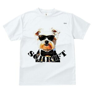 [NV[eA TVc  j[NfUCfB[X t@  t vg lJWA 킢 lԗp Mtg I ҏ΍ TOX [NV[eA ^L