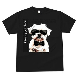 }`[Y TVc  j[NfUCfB[X t@  t vg lJWA 킢 lԗp Mtg I ҏ΍ TOX }`[Y lN^C