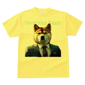 Č TVc  j[NfUCfB[X t@  t vg lJWA 킢 lԗp Mtg I ҏ΍ X[c Č