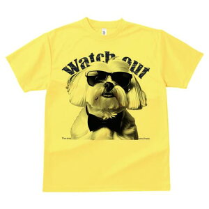 }`[Y TVc  j[NfUCfB[X t@  t vg lJWA 킢 lԗp Mtg I ҏ΍ TOX }`[Y lN^C