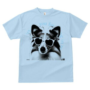 VFbghV[vhbO TVc  j[NfUCfB[X t@  t vg lJWA 킢 lԗp Mtg I ҏ΍ TOX VFbghV