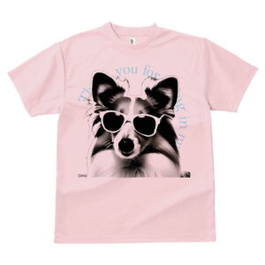 VFbghV[vhbO TVc  j[NfUCfB[X t@  t vg lJWA 킢 lԗp Mtg I ҏ΍ TOX VFbghV