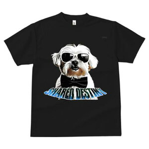 }`[Y TVc  j[NfUCfB[X t@  t vg lJWA 킢 lԗp Mtg I ҏ΍ TOX }`[Y lN^C