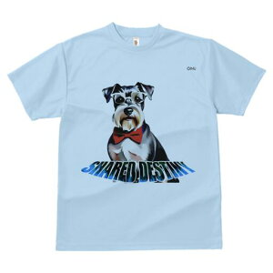 ~j`AViEU[ TVc  j[NfUCfB[X t@  t vg lJWA 킢 lԗp Mtg I ҏ΍ Kl ~j`AViEU[ 