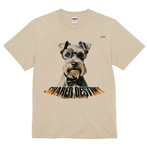 ~j`AViEU[ TVc  j[NfUCfB[X t@  t vg lJWA 킢 lԗp Mtg I ҏ΍ Kl ~j`AViEU[ 