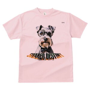 ~j`AViEU[ TVc  j[NfUCfB[X t@  t vg lJWA 킢 lԗp Mtg I ҏ΍ Kl ~j`AViEU[ 