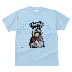 ~j`AViEU[ TVc  j[NfUCfB[X t@  t vg lJWA 킢 lԗp Mtg I ҏ΍ Kl ~j`AViEU[ 