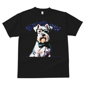 ~j`AViEU[ TVc  j[NfUCfB[X t@  t vg lJWA 킢 lԗp Mtg I ҏ΍ Kl ~j`AViEU[ 