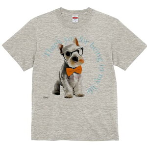 ~j`AViEU[ TVc  j[NfUCfB[X t@  t vg lJWA 킢 lԗp Mtg I ҏ΍ Kl ~j`AViEU[ 