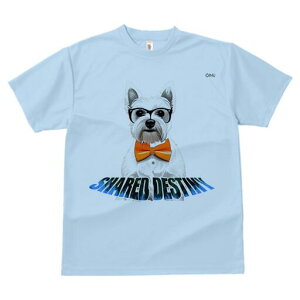 EGXgnChzCgeA TVc  j[NfUCfB[X t@  t vg lJWA 킢 lԗp Mtg I ҏ΍ lN^C EGXgn