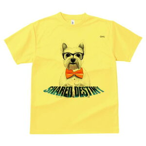 EGXgnChzCgeA TVc  j[NfUCfB[X t@  t vg lJWA 킢 lԗp Mtg I ҏ΍ lN^C EGXgn