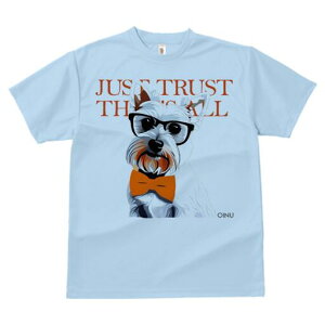 EGXgnChzCgeA TVc  j[NfUCfB[X t@  t vg lJWA 킢 lԗp Mtg I ҏ΍ Kl EGXgnC