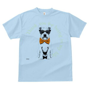 EGXgnChzCgeA TVc  j[NfUCfB[X t@  t vg lJWA 킢 lԗp Mtg I ҏ΍ Kl EGXgnC