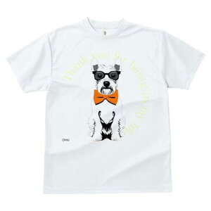 EGXgnChzCgeA TVc  j[NfUCfB[X t@  t vg lJWA 킢 lԗp Mtg I ҏ΍ Kl EGXgnC