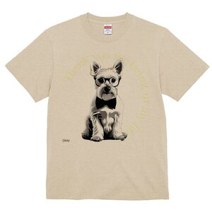 EGXgnChzCgeA TVc  j[NfUCfB[X t@  t vg lJWA 킢 lԗp Mtg I ҏ΍ Kl EGXgnC