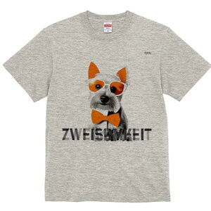 EGXgnChzCgeA TVc  j[NfUCfB[X t@  t vg lJWA 킢 lԗp Mtg I ҏ΍ TOX EGXgn