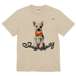 ~j`AViEU[ TVc  j[NfUCfB[X t@  t vg lJWA 킢 lԗp Mtg I ҏ΍ lN^C ~j`AViEU